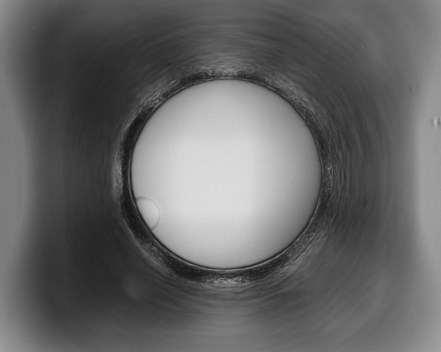 X0000100340638200806051225