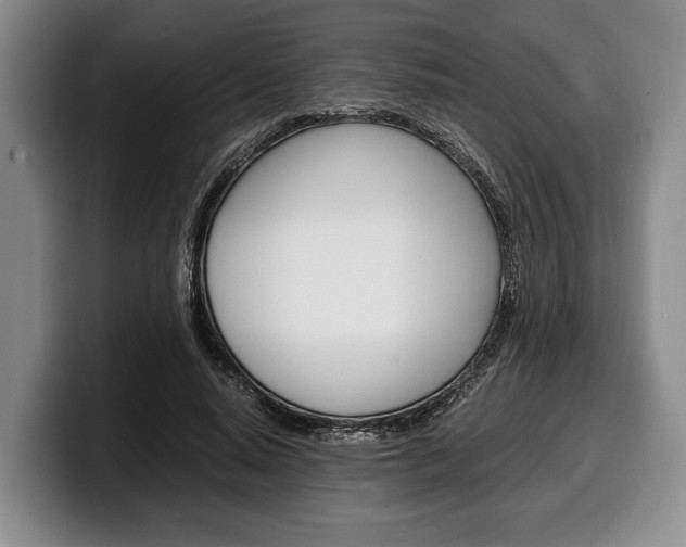 X0000100340640200806051225