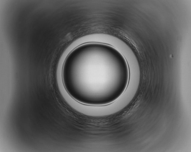 X0000100340641200806051225