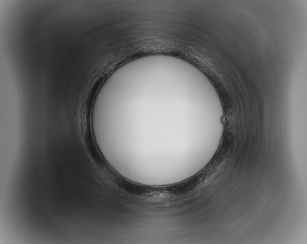 X0000100340642200806051226