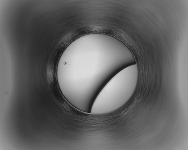 X0000100340644200806051226