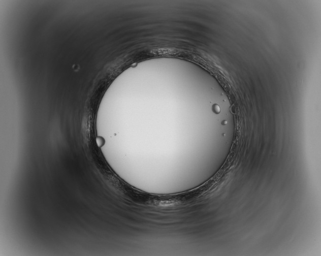 X0000100340645200806051226