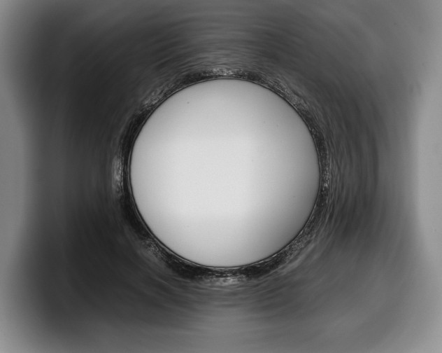 X0000100340646200806051226