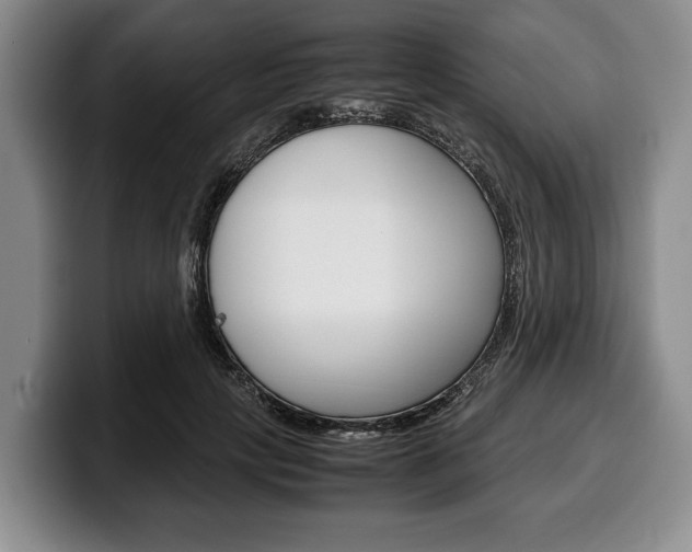 X0000100340649200806051226