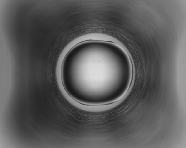 X0000100340651200806051226