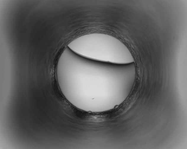 X0000100340657200806051226