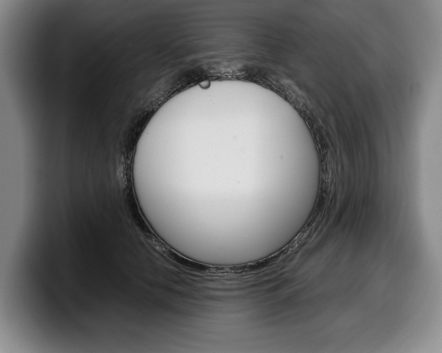 X0000100340658200806051226