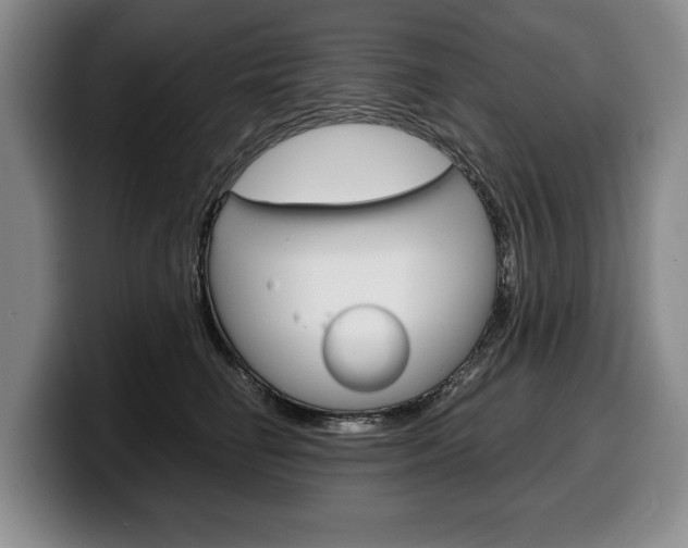 X0000100340662200806051226