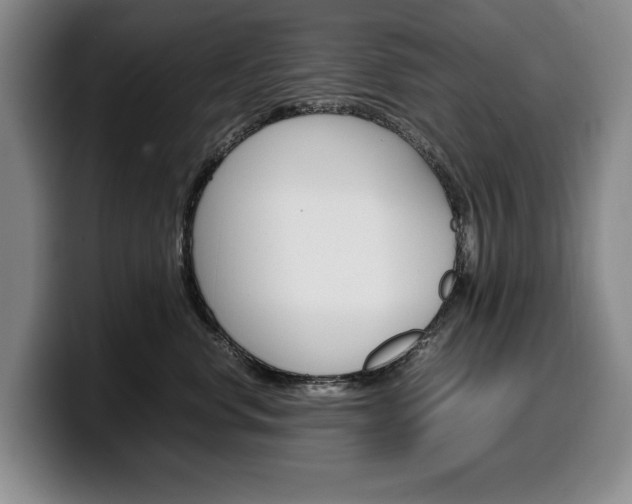 X0000100340668200806051226