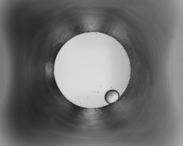 X0000100340672200806051226