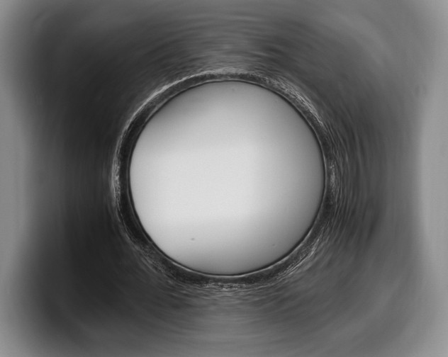 X0000100340676200806051225