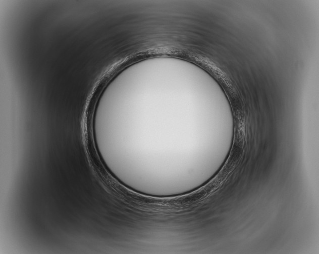 X0000100340678200806051225