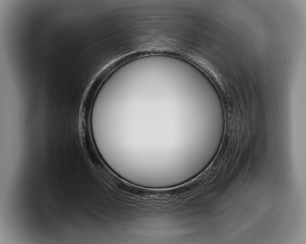 X0000100340680200806051225
