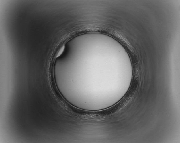 X0000100340681200806051225