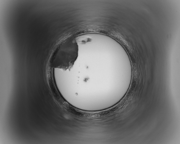 X0000100340683200806051225