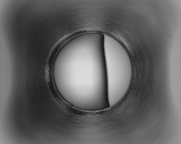 X0000100340684200806051225