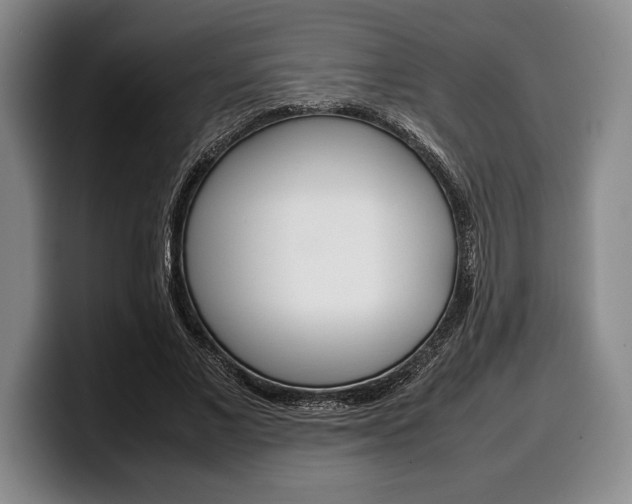 X0000100340685200806051225
