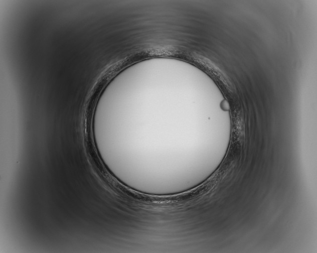 X0000100340686200806051225