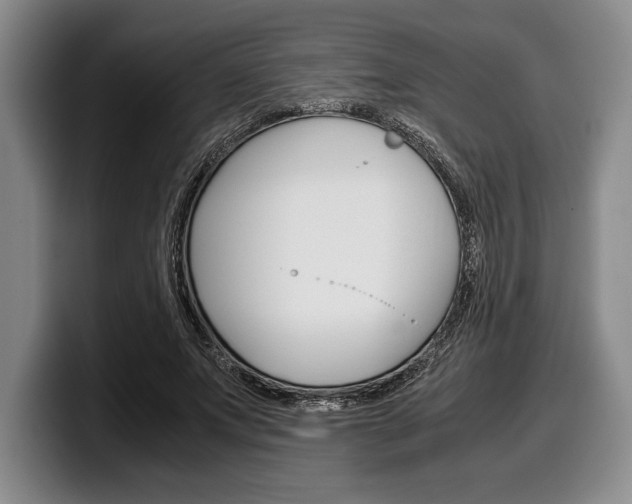 X0000100340687200806051225