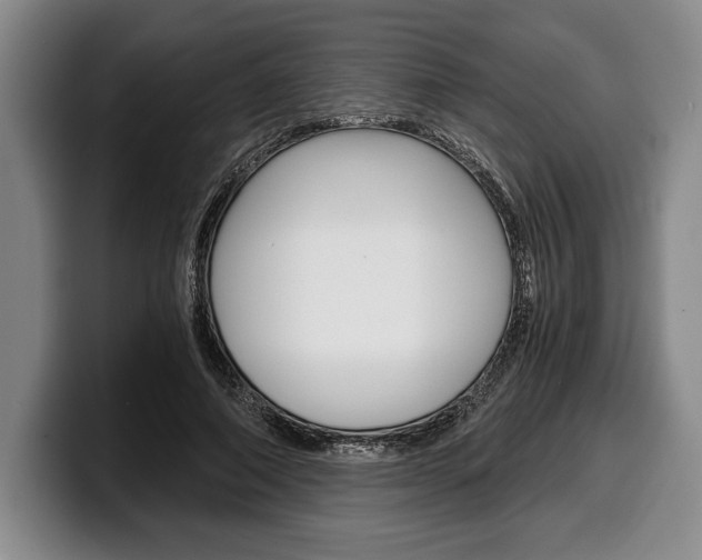 X0000100340690200806051225