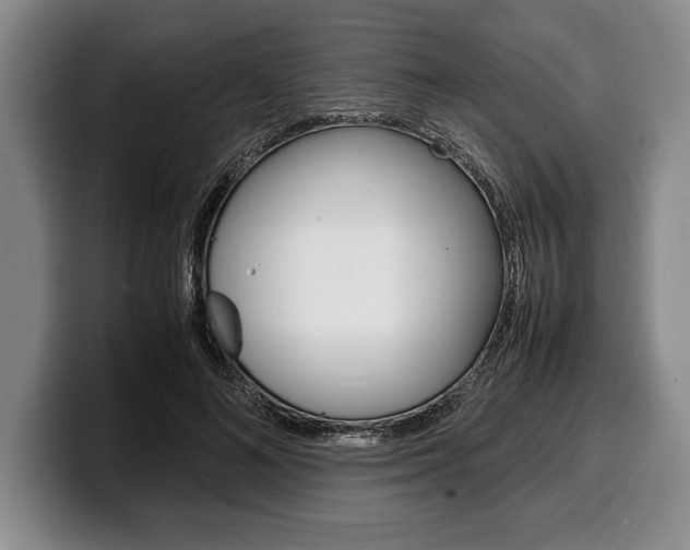X0000100340692200806051225