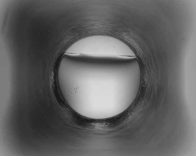 X0000100340693200806051225