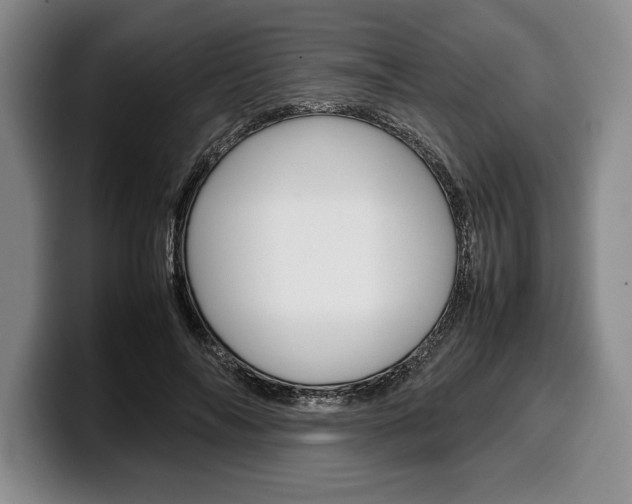 X0000100340694200806051225