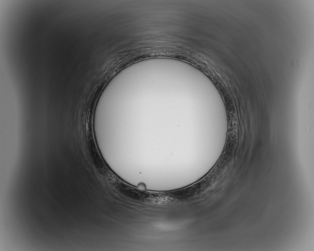 X0000100340695200806051225