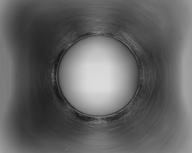 X0000100340696200806051225