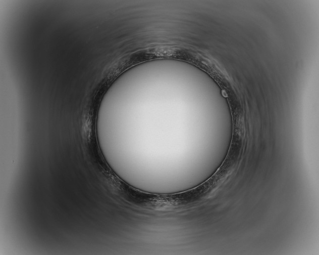 X0000100340697200806051225
