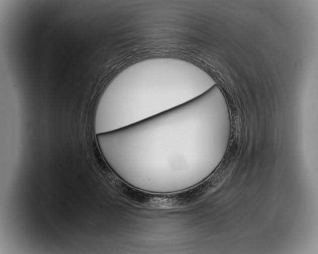 X0000100340699200806051225