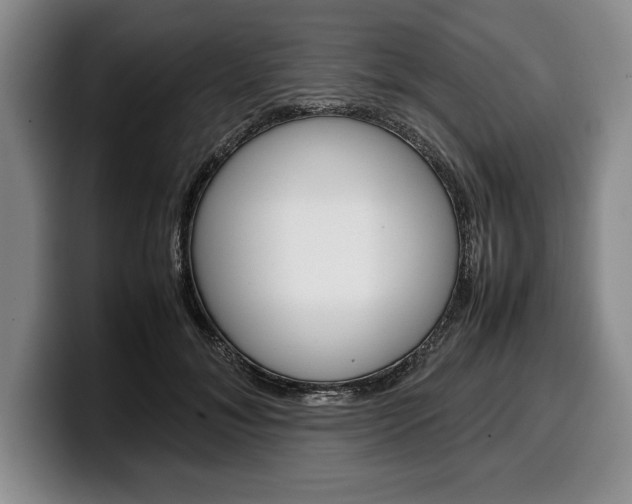 X0000100340700200806051225