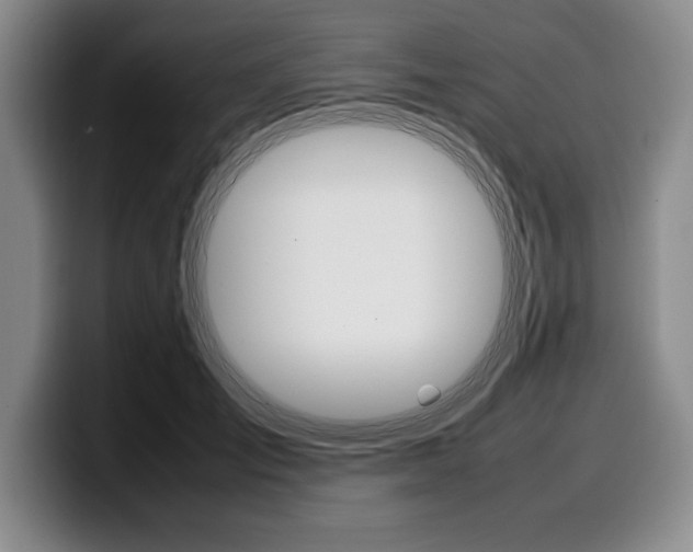 X0000100340701200806051225