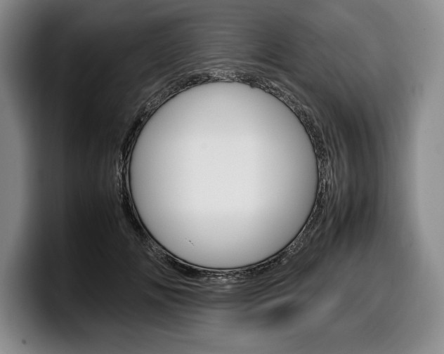 X0000100340702200806051225