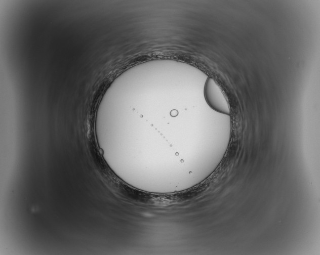 X0000100340703200806051225