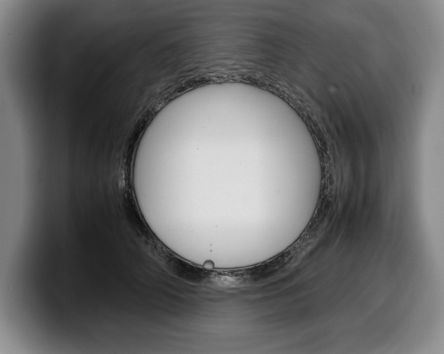 X0000100340706200806051225
