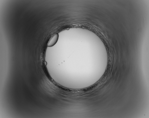 X0000100340707200806051225