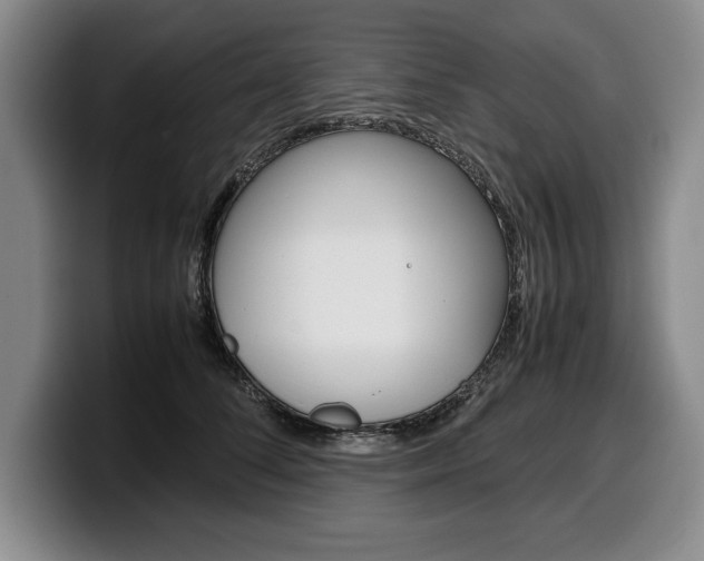 X0000100340708200806051225