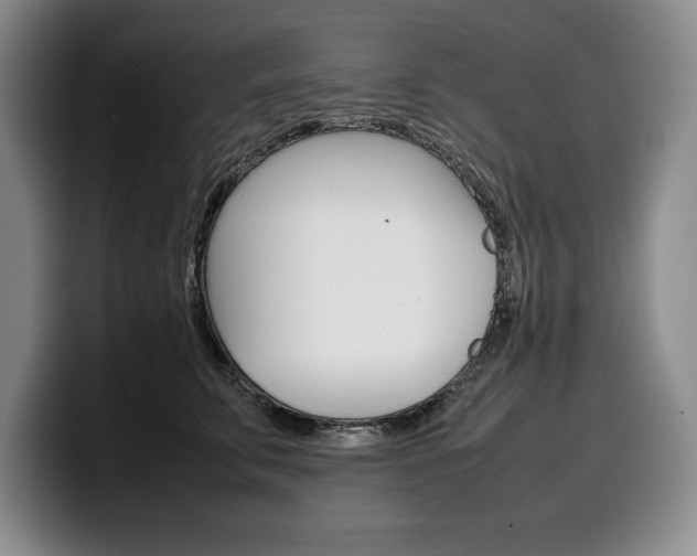 X0000100340711200806051225