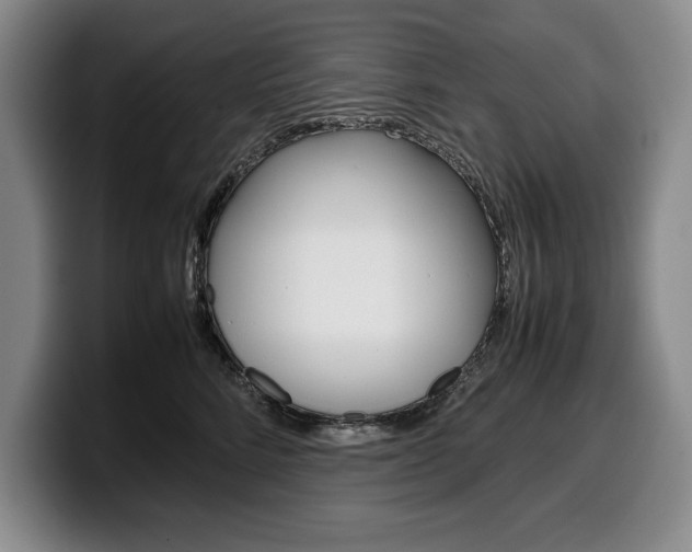 X0000100340712200806051225