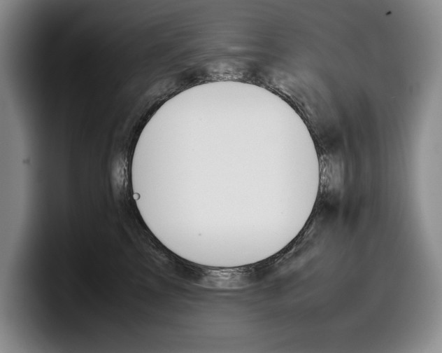 X0000100340713200806051225