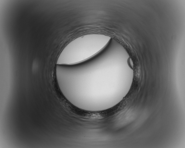 X0000100340715200806051225
