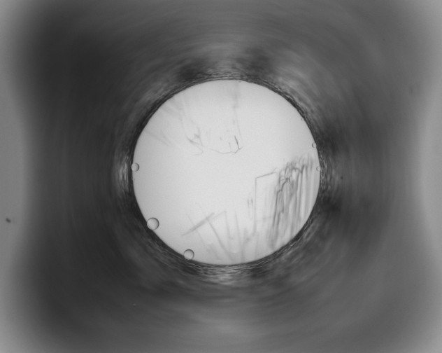 X0000100340717200806051225