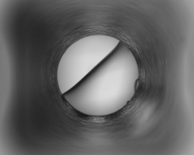 X0000100340719200806051225