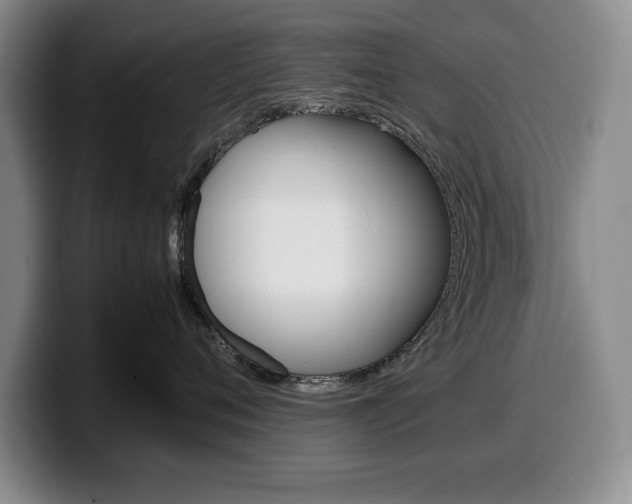 X0000100340720200806051225