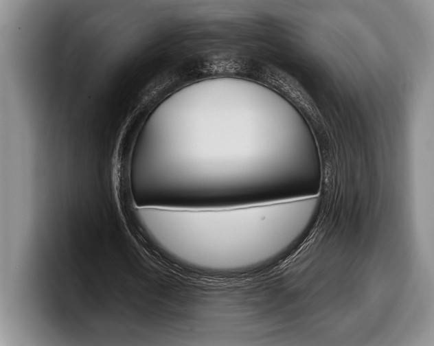 X0000100340722200806051224