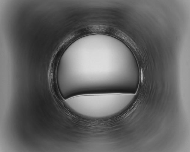 X0000100340723200806051224