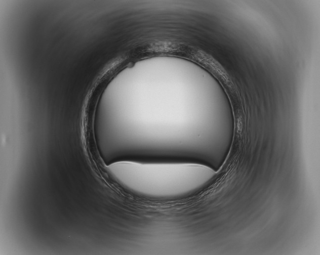 X0000100340724200806051224