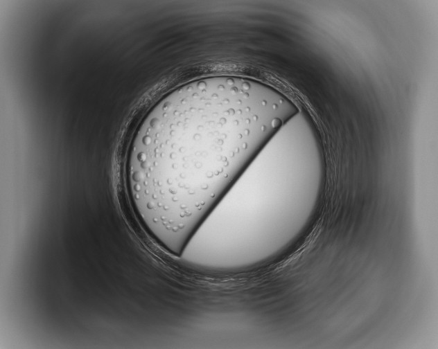 X0000100340725200806051224