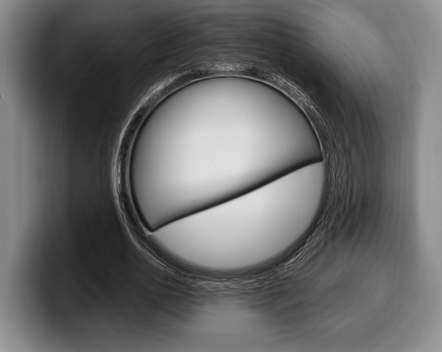 X0000100340726200806051224